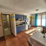 Guest house Apartmens Spiko 3*